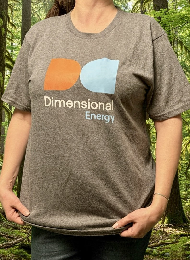 T Shirt - Crew Neck with DE Logo - Grey